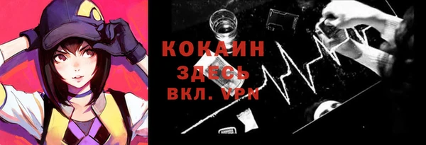 трава Новозыбков