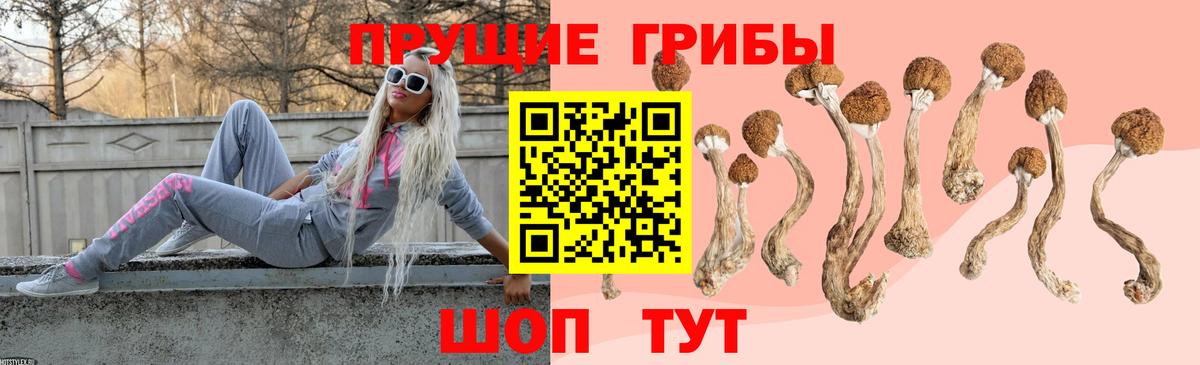 Псилоцибиновые грибы мицелий Холмск